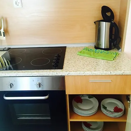 Apartament Galina Complex *